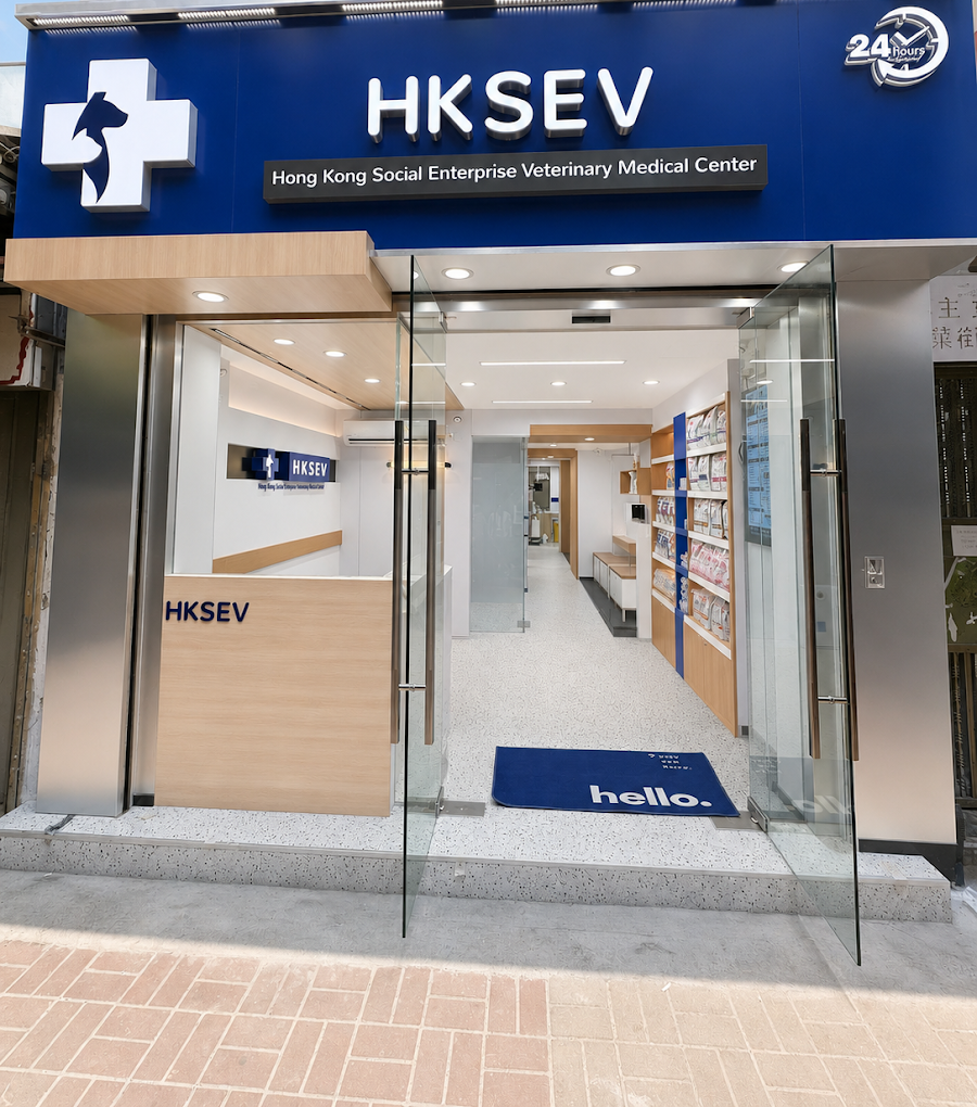 HKSEV 診所真實門面及接待處